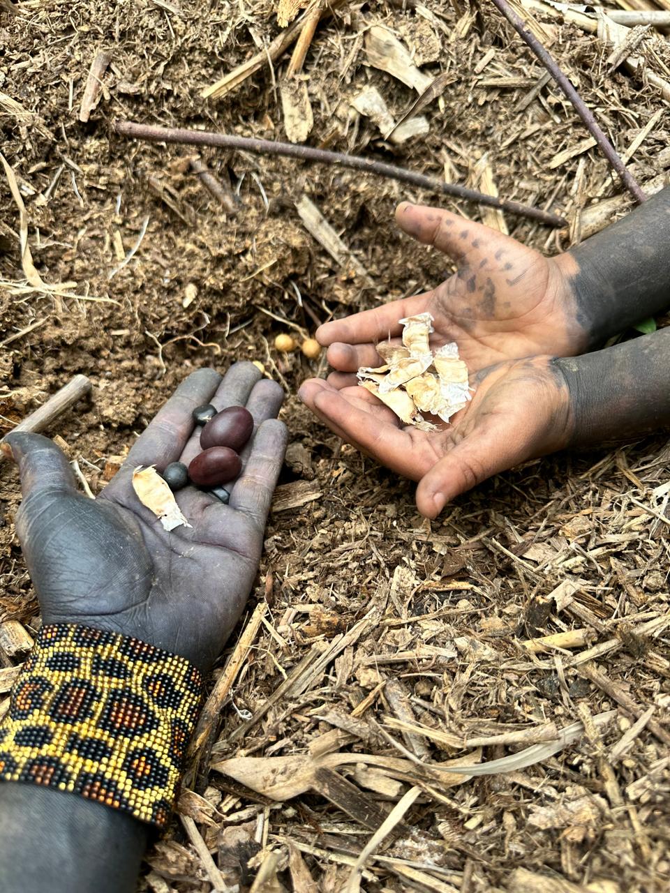 Imagem do WhatsApp de 2025-09-09 à(s) 12.01.28_759c99ee.jpg